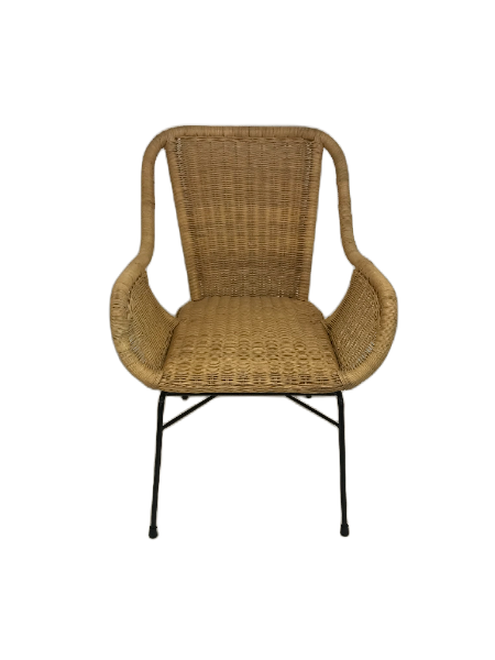 Palmview Rattan Dining Chair with Arms