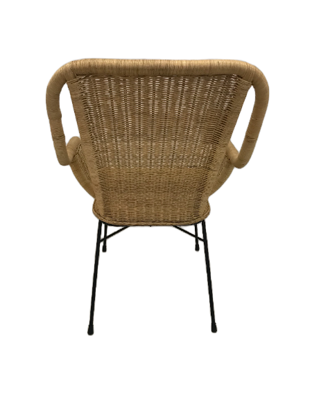 Palmview Rattan Dining Chair with Arms