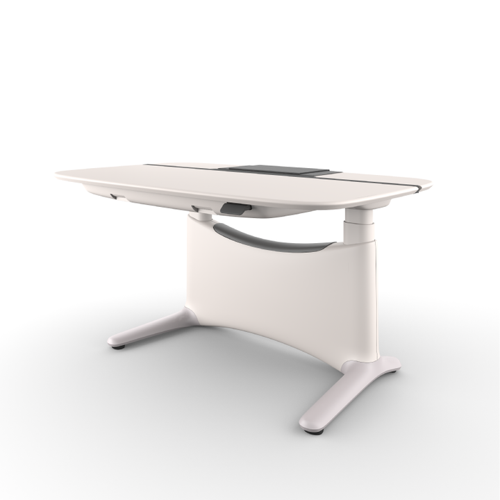 Ergonomic Workstation Standing Desk Height Adjustable Motorised 1.2m