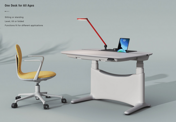 Ergonomic Workstation Standing Desk Height Adjustable Motorised 1.2m