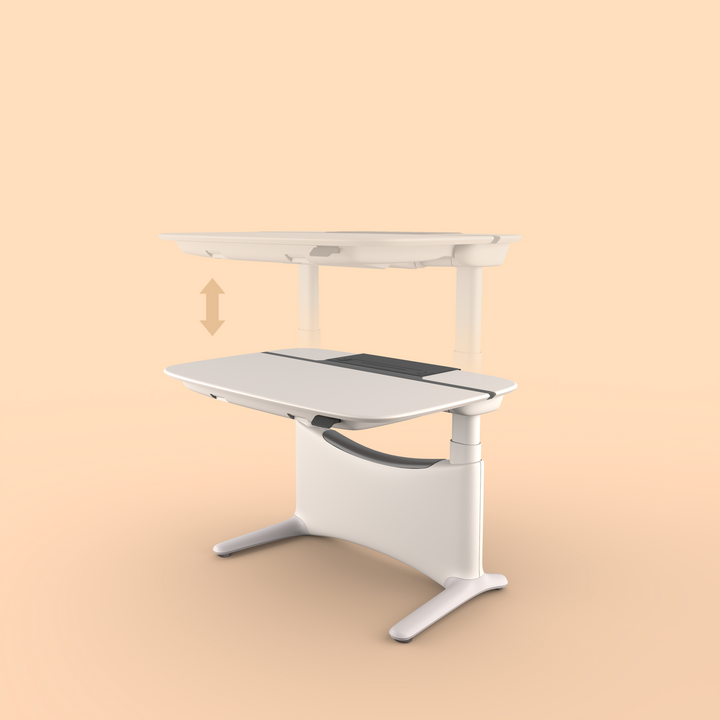 Ergonomic Workstation Standing Desk Height Adjustable Motorised 1.2m